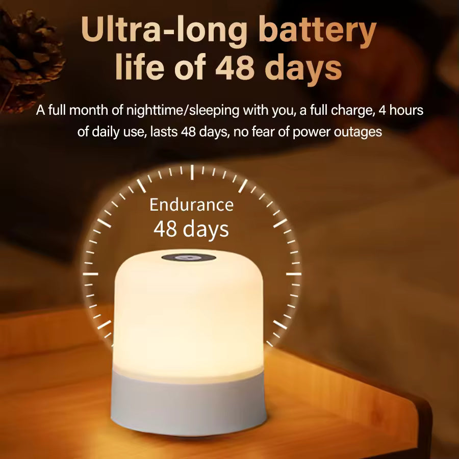 Rechargeable Touch LED Bedside Lamp